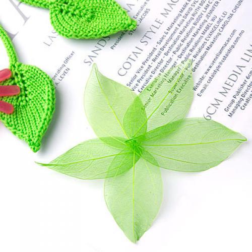 Natural Catbrier Skeleton Leav - مراجعة Craft Embellishment وسعره