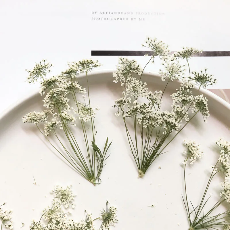 5-7cm/12pcs,Snow Tiny Flowers  - مراجعة Craft Embellishment وسعره