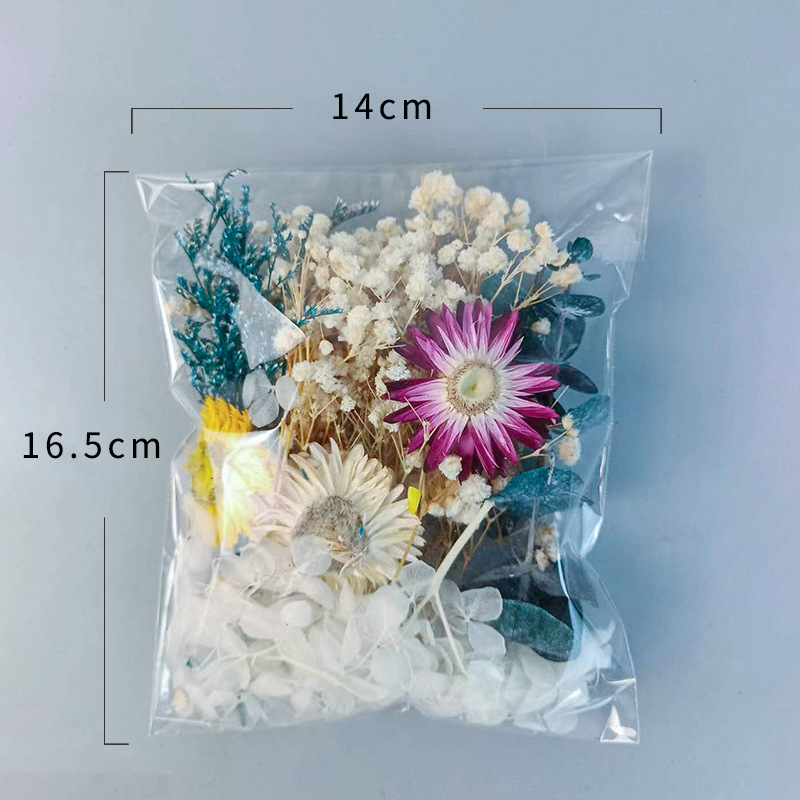 1pack Multifarious Dried Flowe - مراجعة Craft Embellishment وسعره