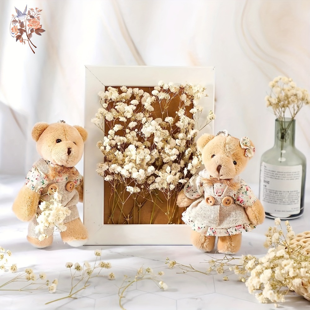 100pcs Mini Dried Baby's Breat - مراجعة Craft Embellishment وسعره